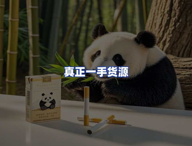 专业团队